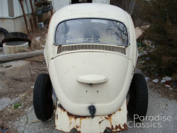 Beige 1969 Volkswagen Beetle