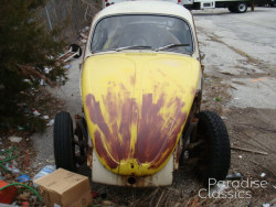Beige 1969 Volkswagen Beetle