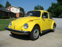Yellow 1974 Volkswagen Beetle
