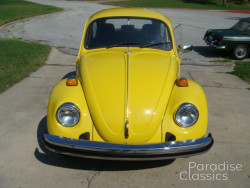 Yellow 1974 Volkswagen Beetle