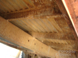 Red/White 1961 Volkswagen Bus