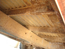 Red/White 1961 Volkswagen Bus