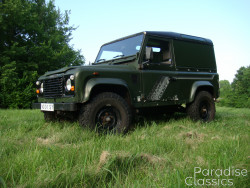 Green 1989 Land Rover Defender