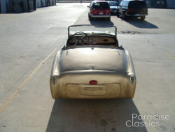 Gold 1955 Triumph TR-2