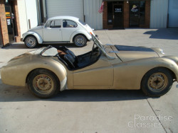 Gold 1955 Triumph TR-2