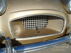 Gold 1955 Triumph TR-2