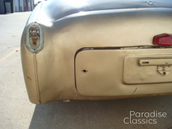 Gold 1955 Triumph TR-2