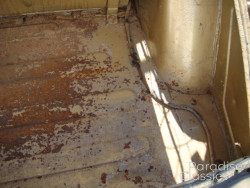 Gold 1955 Triumph TR-2