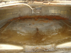 Gold 1955 Triumph TR-2