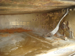 Gold 1955 Triumph TR-2