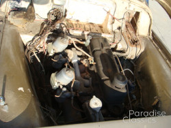 Gold 1955 Triumph TR-2