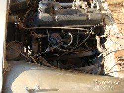 Gold 1955 Triumph TR-2