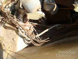 Gold 1955 Triumph TR-2