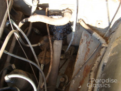 Gold 1955 Triumph TR-2