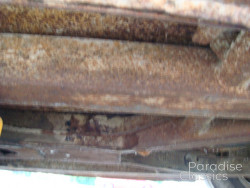 Gold 1955 Triumph TR-2