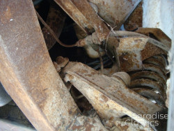 Gold 1955 Triumph TR-2